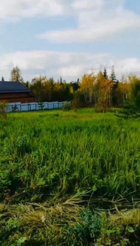 ДП Родной в Верхней Туре - verhnyaya-tura.yutvil.ru