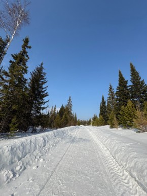 ДП Родной в Верхней Туре - verhnyaya-tura.yutvil.ru - фото 7