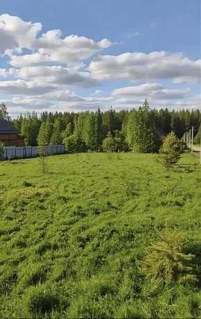 ДП Родной в Верхней Туре - verhnyaya-tura.yutvil.ru - фото 4