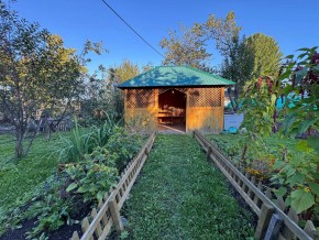 Екатеренбург сад Торгмаш, СНТ  Садовод, уч. 52 в Верхней Туре - verhnyaya-tura.yutvil.ru - фото 10