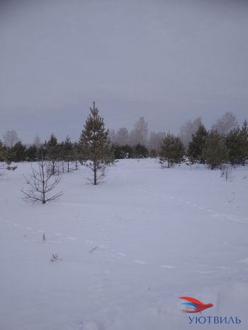 Земельный участок поселок Баженово в Верхней Туре - verhnyaya-tura.yutvil.ru - фото 5