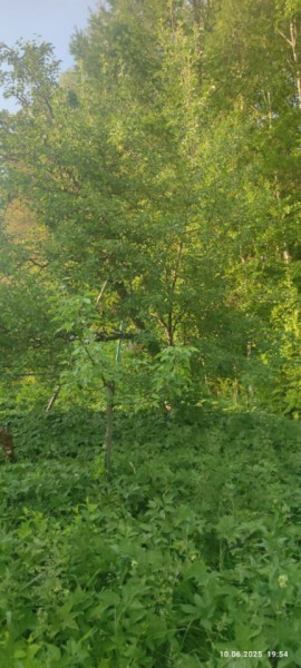 г Верхняя пышма, СНТ Мираж, уч.№ 99 в Верхней Туре - verhnyaya-tura.yutvil.ru - фото 10