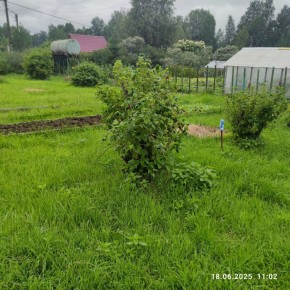 г Верхняя пышма, СНТ Мираж, уч.№ 99 в Верхней Туре - verhnyaya-tura.yutvil.ru - фото 11