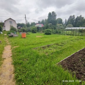 г Верхняя пышма, СНТ Мираж, уч.№ 99 в Верхней Туре - verhnyaya-tura.yutvil.ru - фото 13