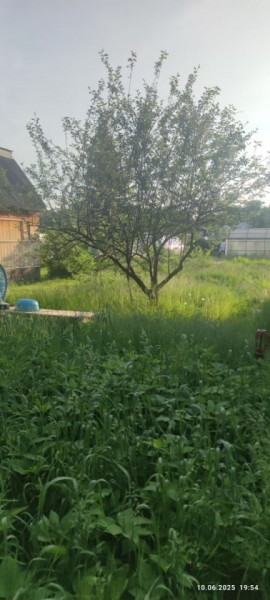г Верхняя пышма, СНТ Мираж, уч.№ 99 в Верхней Туре - verhnyaya-tura.yutvil.ru - фото 19