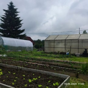 г Верхняя пышма, СНТ Мираж, уч.№ 99 в Верхней Туре - verhnyaya-tura.yutvil.ru - фото 20