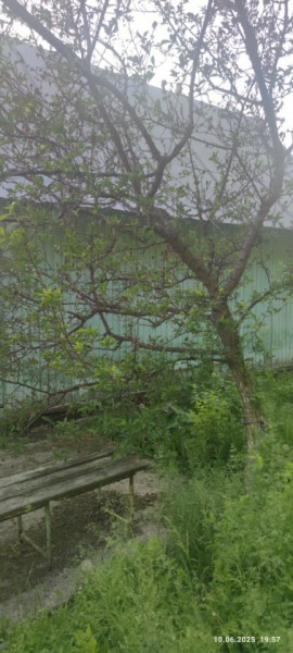 г Верхняя пышма, СНТ Мираж, уч.№ 99 в Верхней Туре - verhnyaya-tura.yutvil.ru - фото 26
