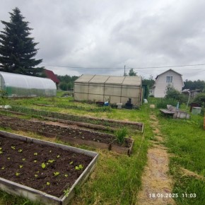 г Верхняя пышма, СНТ Мираж, уч.№ 99 в Верхней Туре - verhnyaya-tura.yutvil.ru - фото 29
