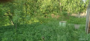 г Верхняя пышма, СНТ Мираж, уч.№ 99 в Верхней Туре - verhnyaya-tura.yutvil.ru - фото 7