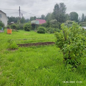 г Верхняя пышма, СНТ Мираж, уч.№ 99 в Верхней Туре - verhnyaya-tura.yutvil.ru - фото 8