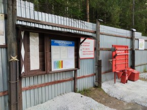 г.Верхняя Пышма СНТ №5 Березки в кв. 22 Среднеуральского Уралмашевского лесхоза в Верхней Туре - verhnyaya-tura.yutvil.ru - фото 18