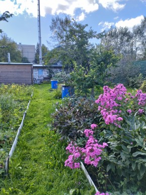 Коллективный сад номер 7, участок 58 в Верхней Туре - verhnyaya-tura.yutvil.ru - фото 23
