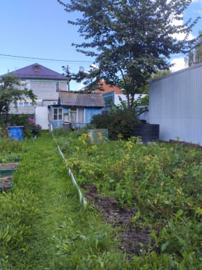 Коллективный сад номер 7, участок 58 в Верхней Туре - verhnyaya-tura.yutvil.ru - фото 25