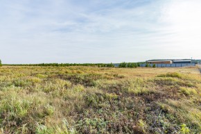 Российская Федерация, Свердловская область, Сысертский городской округ, территория садоводческого некоммерческого товарищества Бобровские дачи, улица Каштановая, земельный участок № 38 в Верхней Туре - verhnyaya-tura.yutvil.ru - фото 24