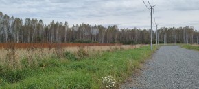 с. Новоалексеевское, КП Оникс,  в Верхней Туре - verhnyaya-tura.yutvil.ru - фото 2