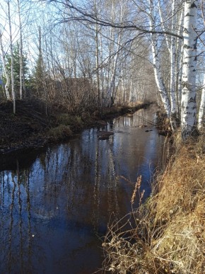 СНТ Берёзка в Верхней Туре - verhnyaya-tura.yutvil.ru - фото 14
