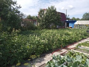 СНТ Медик-2 в Верхней Туре - verhnyaya-tura.yutvil.ru - фото 6