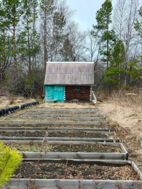 СНТ Родники в Верхней Туре - verhnyaya-tura.yutvil.ru - фото 7 СНТ Родники в Верхней Туре - verhnyaya-tura.yutvil.ru - фото 7