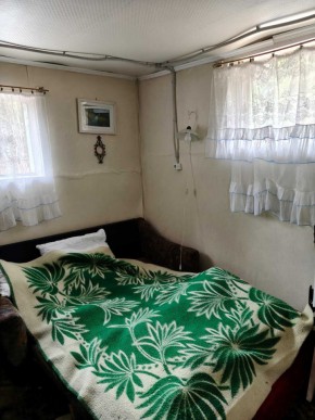 СНТ Родники в Верхней Туре - verhnyaya-tura.yutvil.ru - фото 10 СНТ Родники в Верхней Туре - verhnyaya-tura.yutvil.ru - фото 10