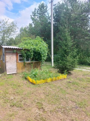 СНТ Родники в Верхней Туре - verhnyaya-tura.yutvil.ru - фото 1