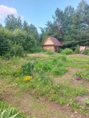 СНТ Родники в Верхней Туре - verhnyaya-tura.yutvil.ru - фото 2