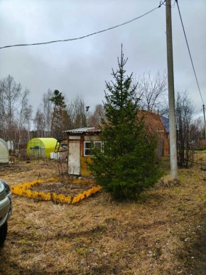 СНТ Родники в Верхней Туре - verhnyaya-tura.yutvil.ru - фото 5 СНТ Родники в Верхней Туре - verhnyaya-tura.yutvil.ru - фото 5