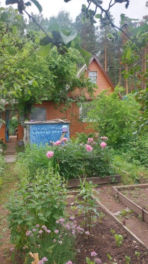 СНТ Садовод-24 в Верхней Туре - verhnyaya-tura.yutvil.ru