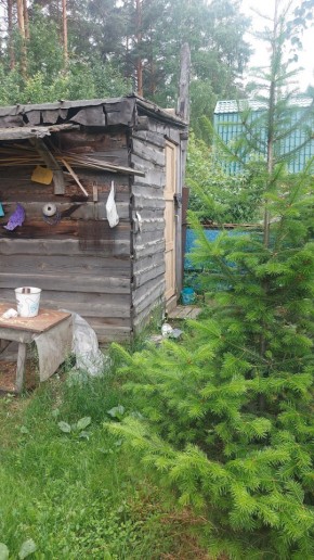 Екатеринбург, СНТ Садовод-24 в Верхней Туре - verhnyaya-tura.yutvil.ru - фото 13