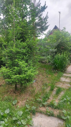 Екатеринбург, СНТ Садовод-24 в Верхней Туре - verhnyaya-tura.yutvil.ru - фото 15