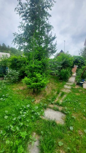 Екатеринбург, СНТ Садовод-24 в Верхней Туре - verhnyaya-tura.yutvil.ru - фото 16