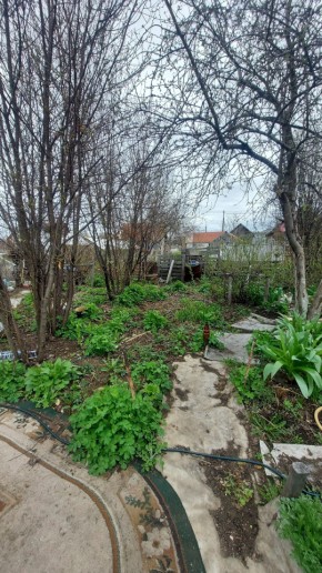 СНТ Сирень, уч. 38 в Верхней Туре - verhnyaya-tura.yutvil.ru - фото 7
