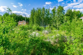 снт. СТ Березовая роща (КК:1801013) в Верхней Туре - verhnyaya-tura.yutvil.ru - фото 45