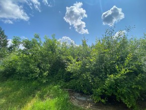 СПК Юбилейный, уч. 9 в Верхней Туре - verhnyaya-tura.yutvil.ru - фото 9