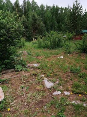 СТН Семья №112, Верхняя пышма на землях бывшего подсобного хозяйтва верхнепышминского опытного завода в Верхней Туре - verhnyaya-tura.yutvil.ru - фото 17 СТН Семья №112, Верхняя пышма на землях бывшего подсобного хозяйтва верхнепышминского опытного завода в Верхней Туре - verhnyaya-tura.yutvil.ru - фото 17