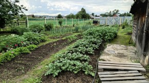 ул. 8-е Марта,46 в Верхней Туре - verhnyaya-tura.yutvil.ru - фото 5