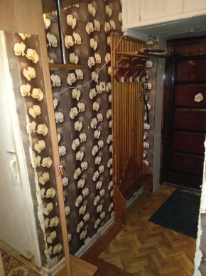 ул. Бажова,11 в Верхней Туре - verhnyaya-tura.yutvil.ru - фото 9