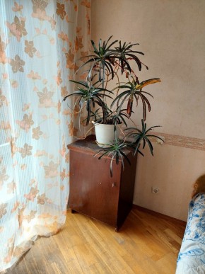 ул. Индустрии,29 в Верхней Туре - verhnyaya-tura.yutvil.ru - фото 4 ул. Индустрии,29 в Верхней Туре - verhnyaya-tura.yutvil.ru - фото 4