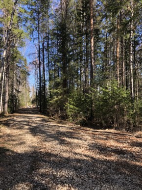 ул. Калиновая,9 в Верхней Туре - verhnyaya-tura.yutvil.ru - фото 2