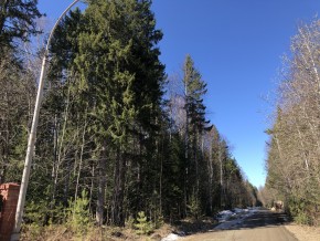 ул. Калиновая,9 в Верхней Туре - verhnyaya-tura.yutvil.ru - фото 4