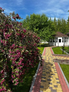 ул. Первомайская,220 в Верхней Туре - verhnyaya-tura.yutvil.ru - фото 2