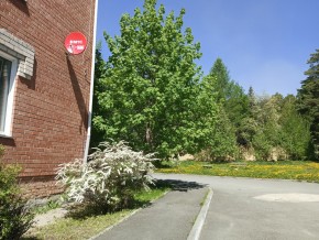 ул. Сосновая, 8 в Верхней Туре - verhnyaya-tura.yutvil.ru - фото 25