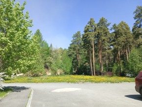ул. Сосновая, 8 в Верхней Туре - verhnyaya-tura.yutvil.ru - фото 26