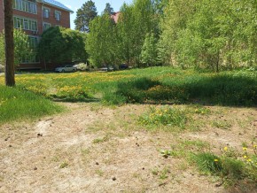 ул. Сосновая, 8 в Верхней Туре - verhnyaya-tura.yutvil.ru - фото 33