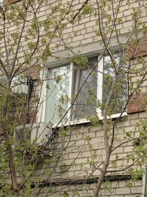 ул. Таганская,8 в Верхней Туре - verhnyaya-tura.yutvil.ru - фото 14