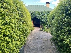 ул. Центральная,12 в Верхней Туре - verhnyaya-tura.yutvil.ru - фото 19
