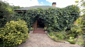ул. Центральная,12 в Верхней Туре - verhnyaya-tura.yutvil.ru - фото 6