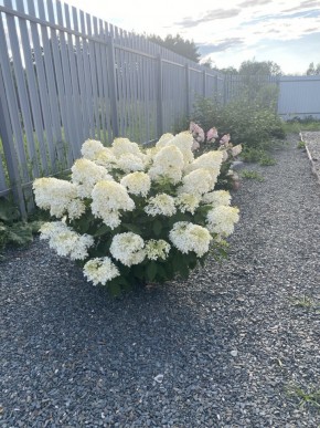 ул. Весенняя,12 в Верхней Туре - verhnyaya-tura.yutvil.ru - фото 20